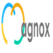 Magnox Technologies Private Limited